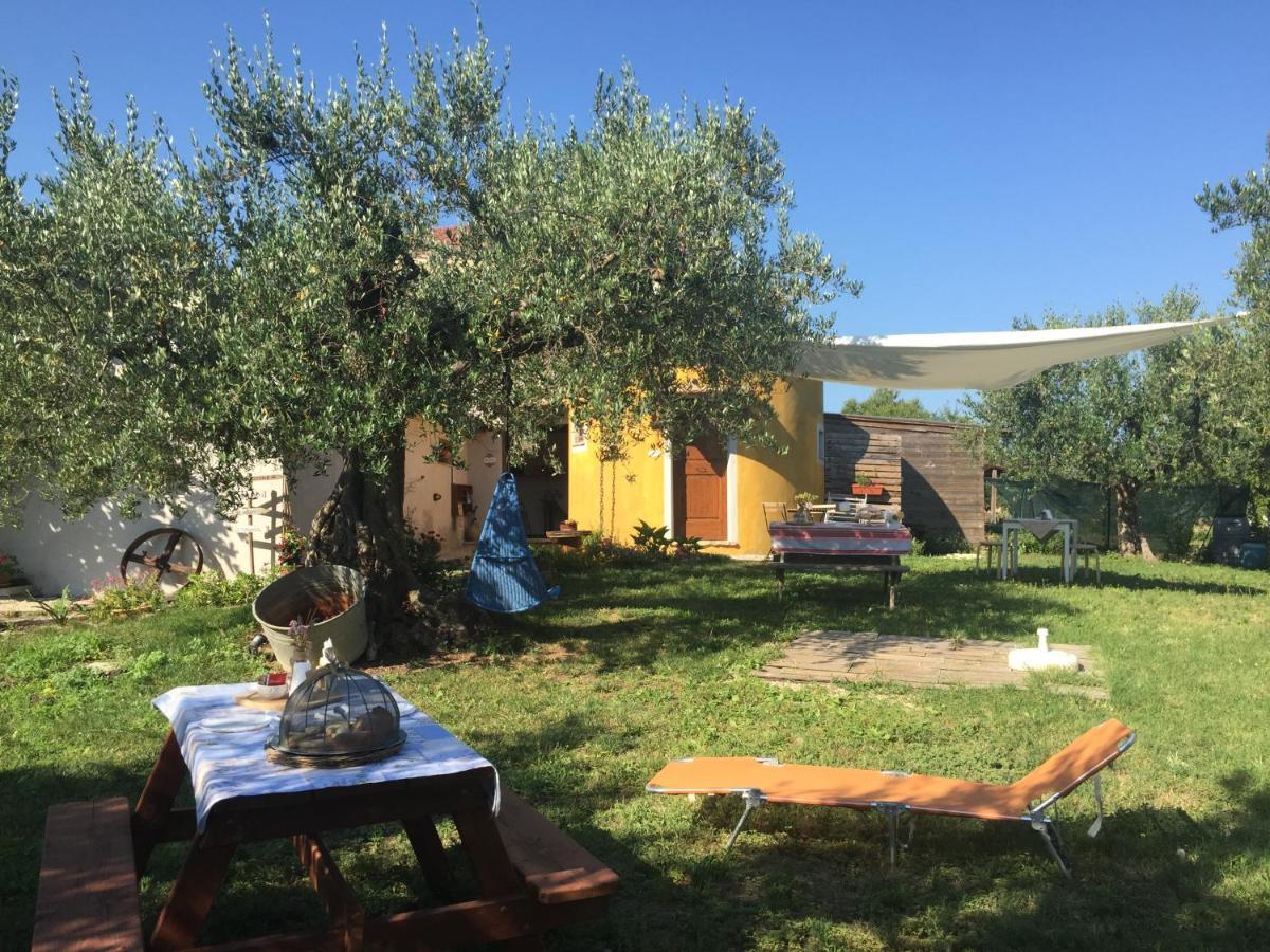 C'Era Una Volta Podere San Giovanni Fossacesia Zewnętrze zdjęcie