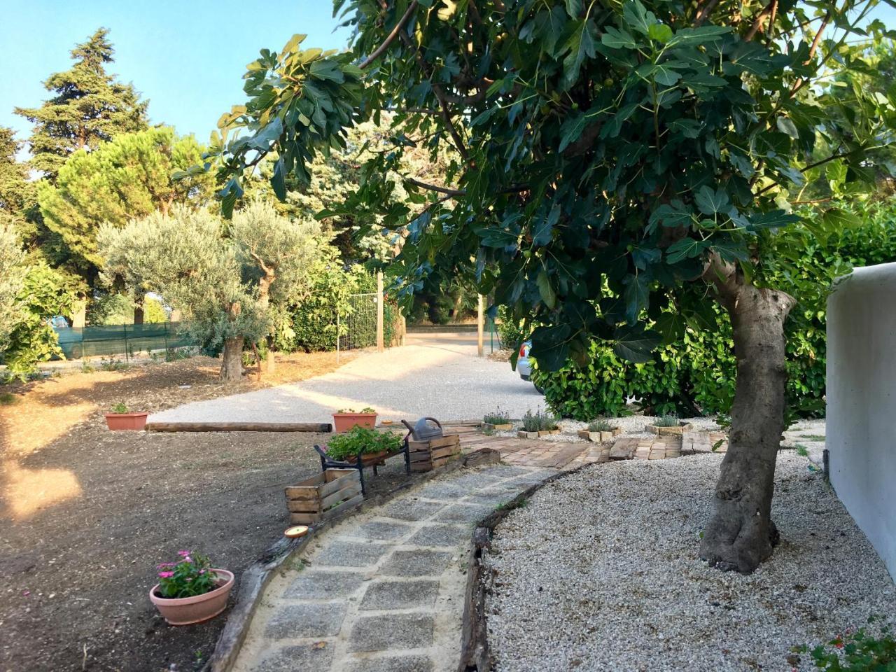 C'Era Una Volta Podere San Giovanni Fossacesia Zewnętrze zdjęcie